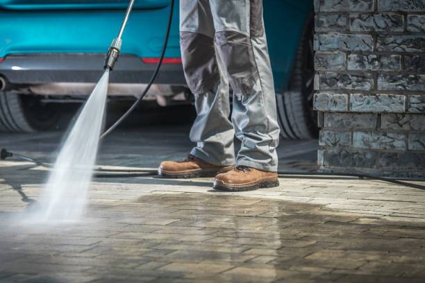 Animal Enclosure Cleaning in Escobares, TX