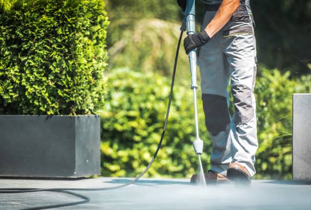Best Restaurant Pressure Washing  in Escobares, TX