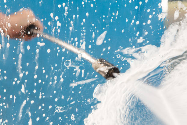 Best Roof Washing  in Escobares, TX