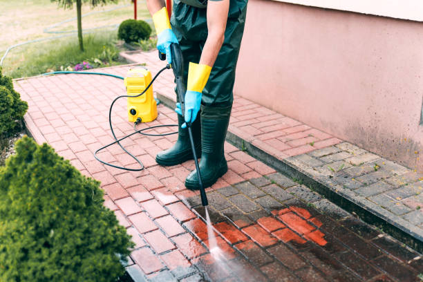 Best Concrete Sealing  in Escobares, TX