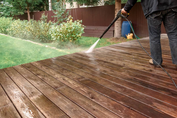 Best Pre-Holiday Cleaning  in Escobares, TX