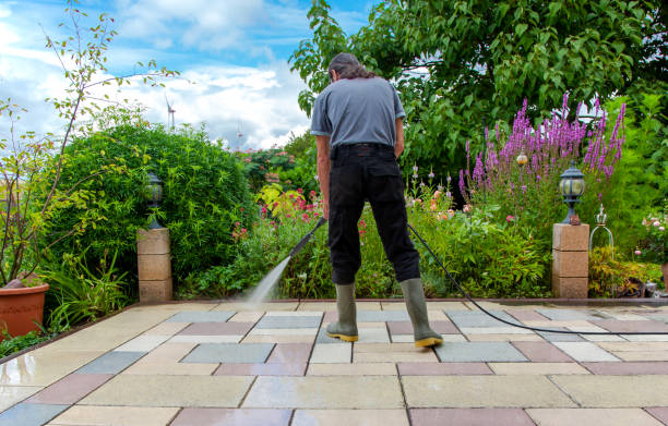 Best Sidewalk and Walkway Cleaning  in Escobares, TX