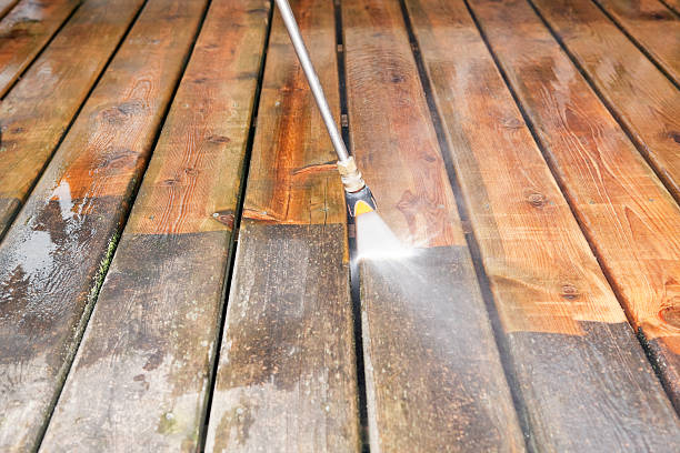 Best Roof Washing  in Escobares, TX