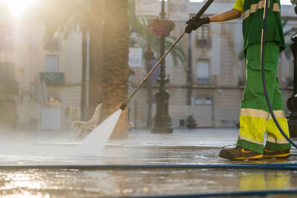 Best House Exterior Washing  in Escobares, TX